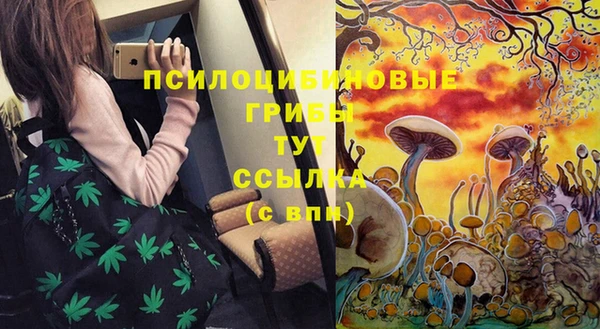 соль ск Михайловск