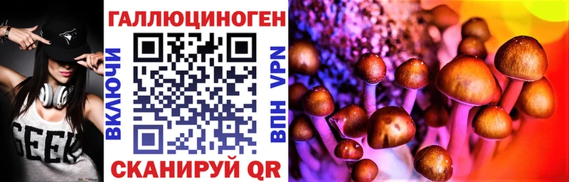 Галлюциногенные грибы MAGIC MUSHROOMS  KRAKEN маркетплейс  Новомичуринск 